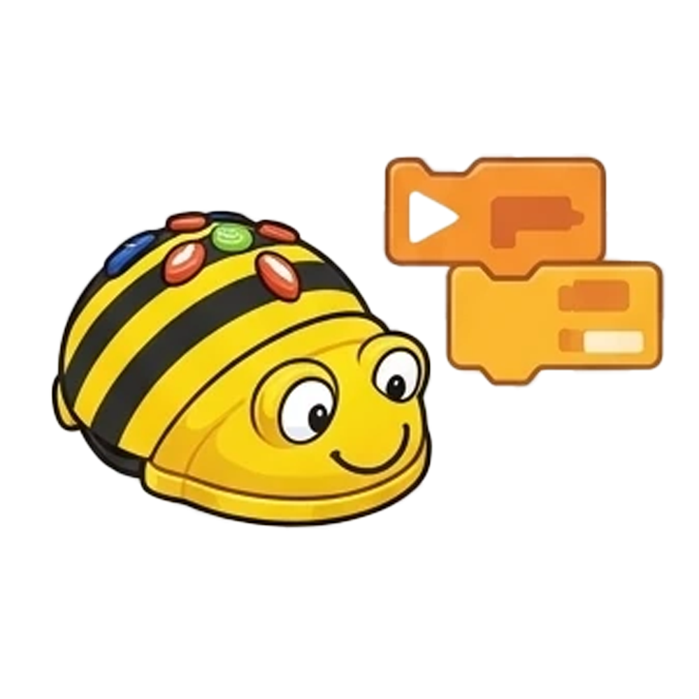 کدی برنامه‌نویس